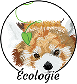 Image représentant l'écologie avec une feuille et un panda roux trop mignon !'
